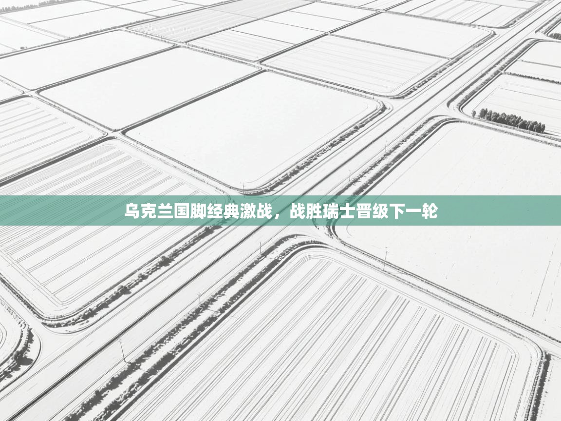 开云体育app官网网页登录入口-乌克兰国脚经典激战，战胜瑞士晋级下一轮  第1张