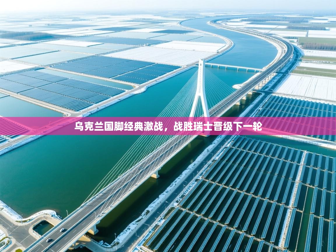 开云体育app官网网页登录入口-乌克兰国脚经典激战，战胜瑞士晋级下一轮  第3张