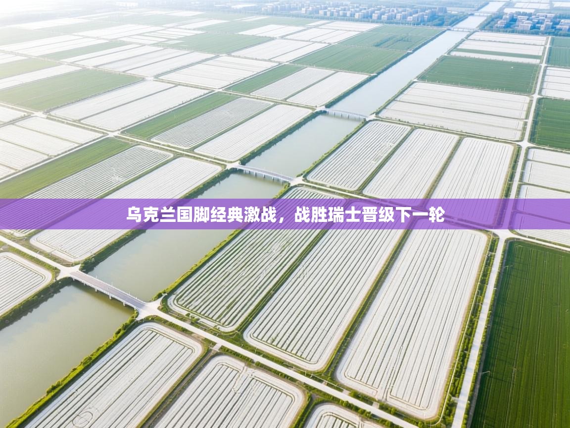 开云体育app官网网页登录入口-乌克兰国脚经典激战，战胜瑞士晋级下一轮  第4张