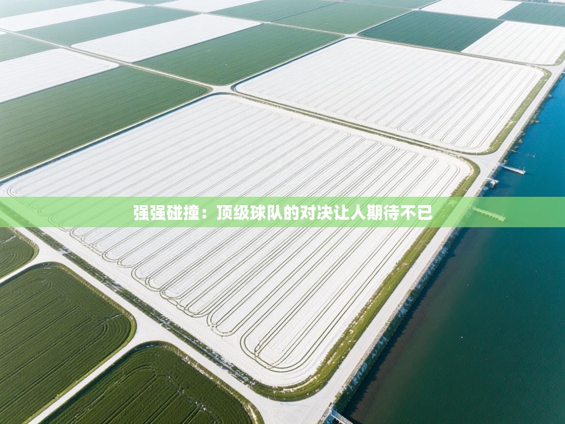 开云体育在线观看-强强碰撞：顶级球队的对决让人期待不已  第1张