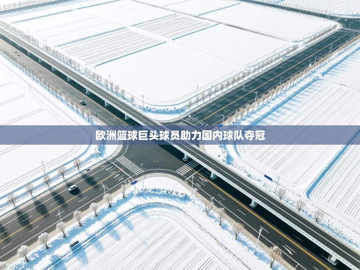 开云体育入口下载-欧洲篮球巨头球员助力国内球队夺冠  第1张