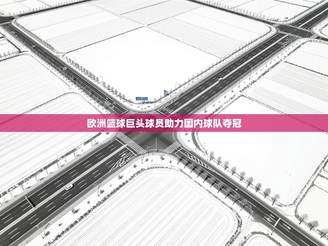 开云体育入口下载-欧洲篮球巨头球员助力国内球队夺冠  第4张