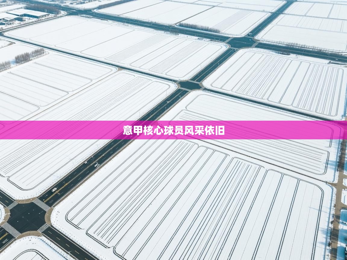 云开体育入口-意甲核心球员风采依旧