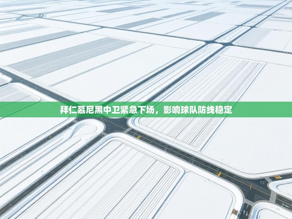 开云体育官方版下载-拜仁慕尼黑中卫紧急下场,影响球队防线稳定 第1张