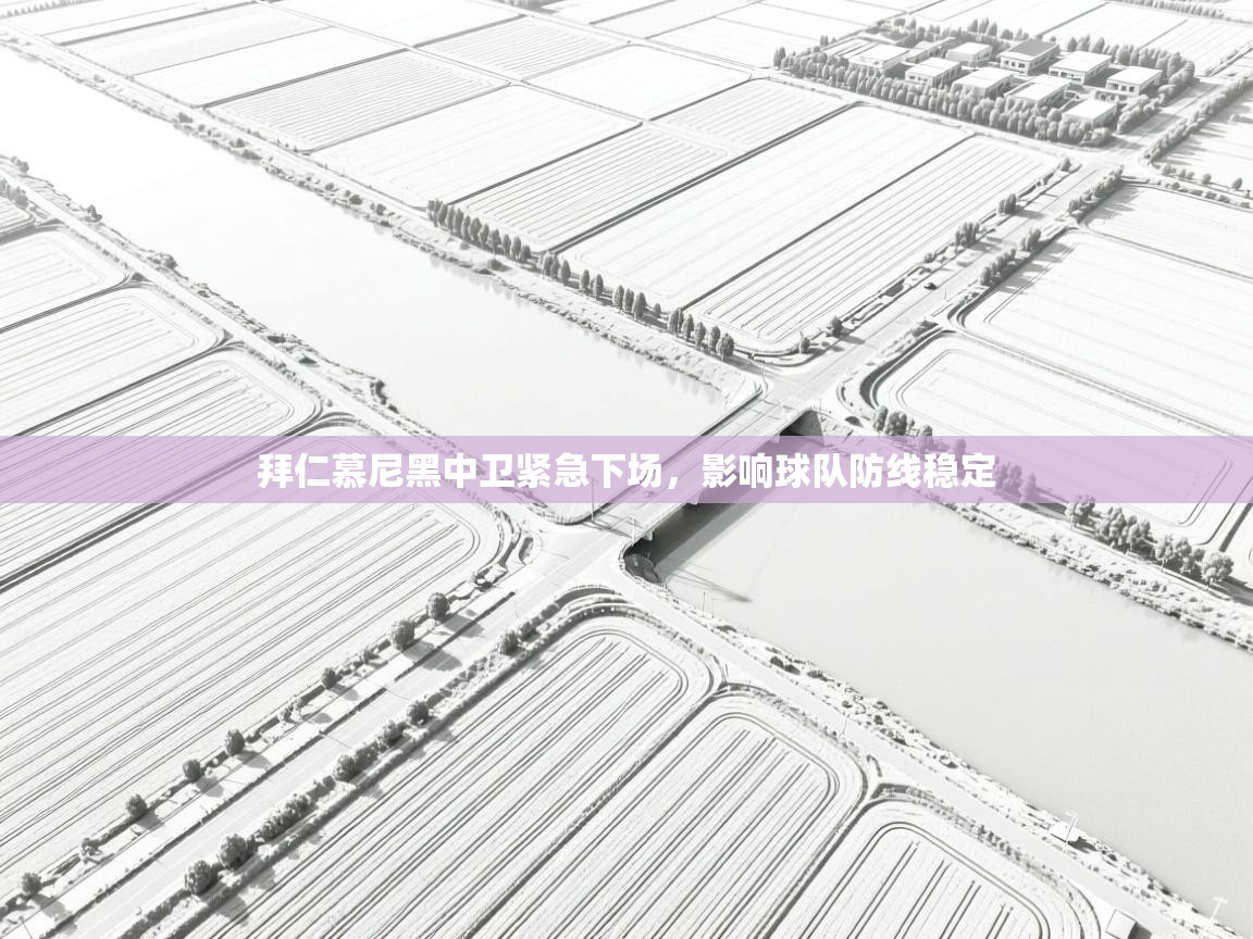 开云体育官方版下载-拜仁慕尼黑中卫紧急下场,影响球队防线稳定 第3张